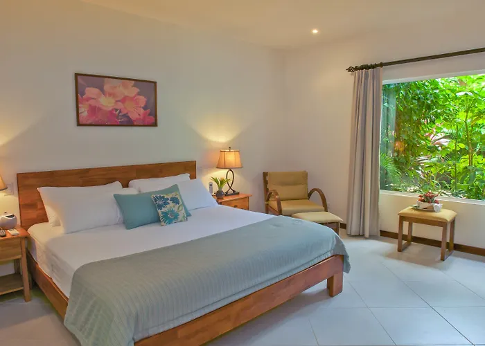 Jardin Del Eden Boutique (adults Only)