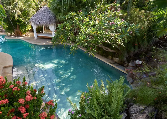 Jardin Del Eden Boutique (adults Only)